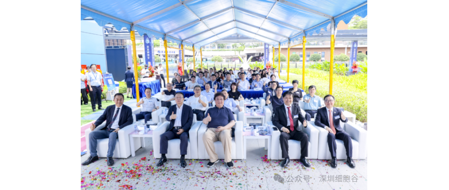 联动香港，开启前海细胞治疗新未来——深港K8凯发(中国)盛大开业