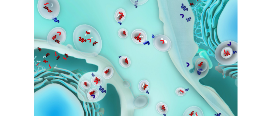 哪吒闹海！外泌体面纱大揭秘，我命由我不由天！