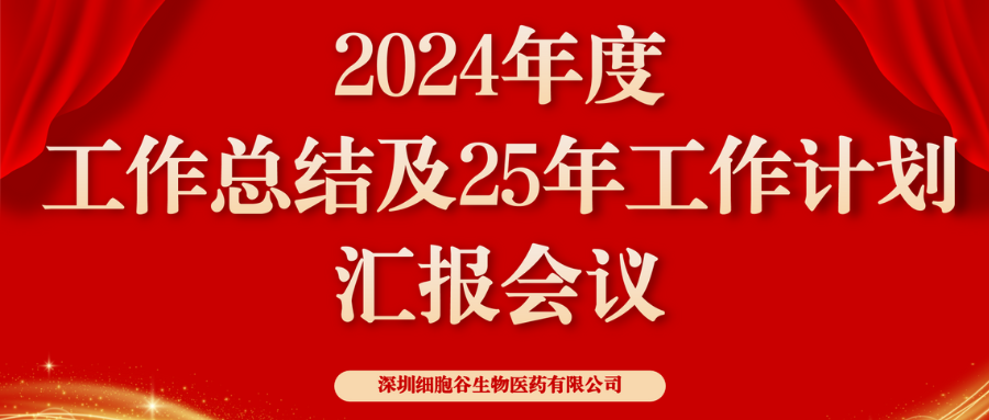 以初心致未来，共筑新辉煌 ——深圳K8凯发(中国)2024年度管理层总结会顺利召开