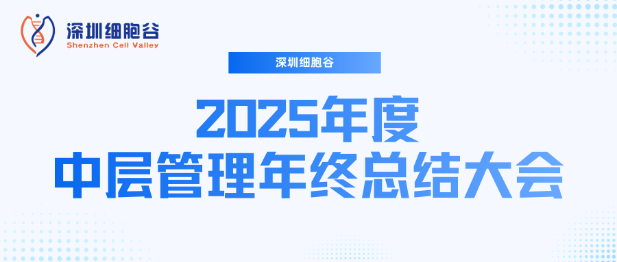 深圳K8凯发(中国)召开2025年度中层管理年终总结大会：多点布局成果丰硕，创新驱动快速开展