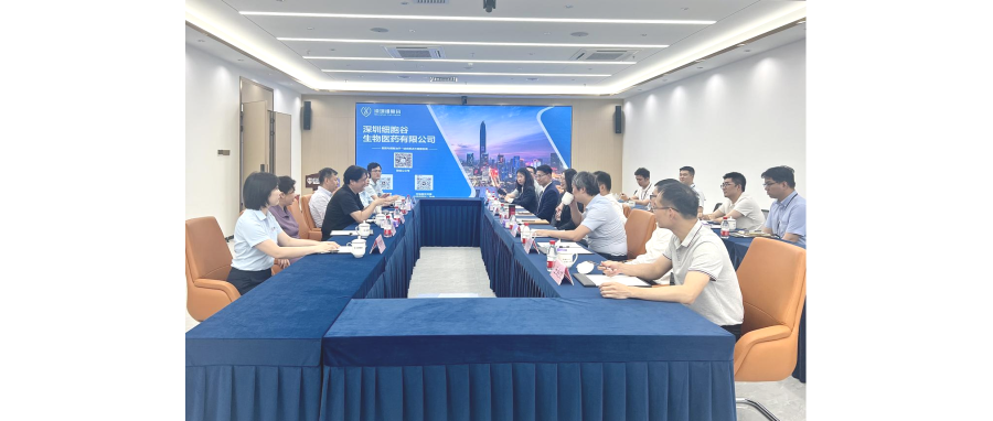 全球医药50强企业优时比（UCB）中国总部领导一行莅临深圳K8凯发(中国)参观调研