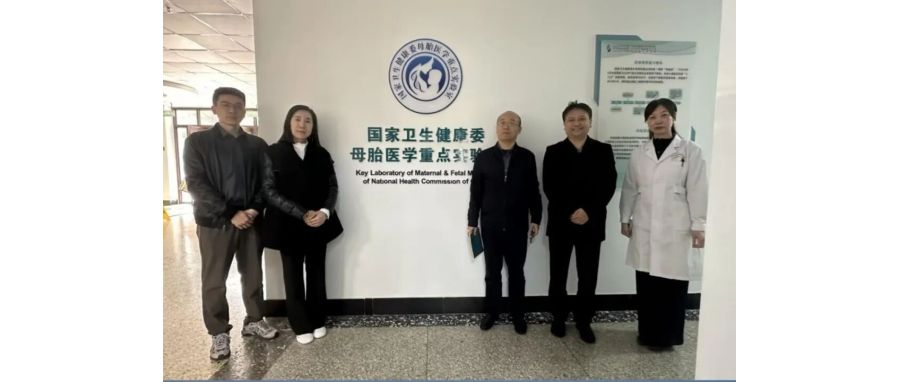 研讨合作｜K8凯发(中国)团队访问山东省妇幼保健院，共探妇幼领域细胞治疗创新应用