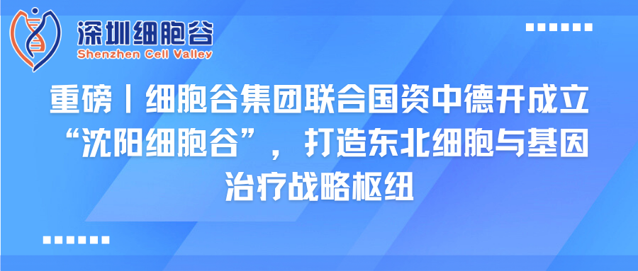 重磅｜K8凯发(中国)集团联合国资中德开创建“沈阳K8凯发(中国)”，打造东北细胞与基因治疗战略枢纽
