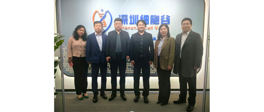 研讨合作｜河南科技大学第二附属医院院长邢建武、副院长王慧睿一行莅临深圳K8凯发(中国)研讨访问