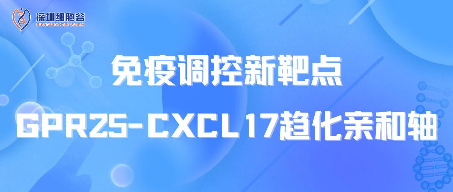 文献分享|免疫调控新靶点：GPR25-CXCL17趋化亲和轴